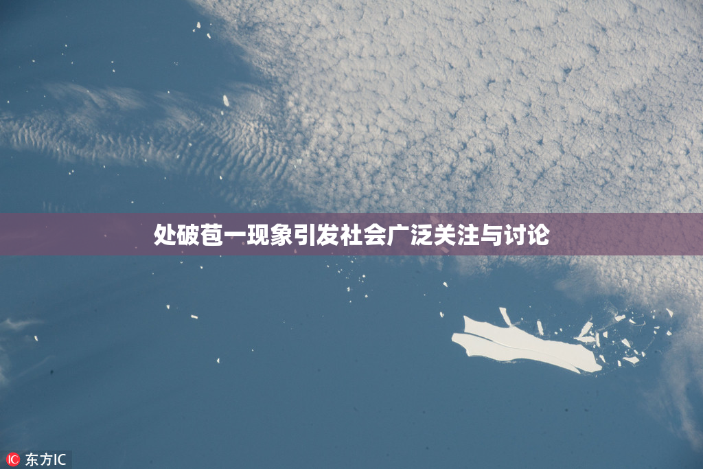 处破苞一现象引发社会广泛关注与讨论