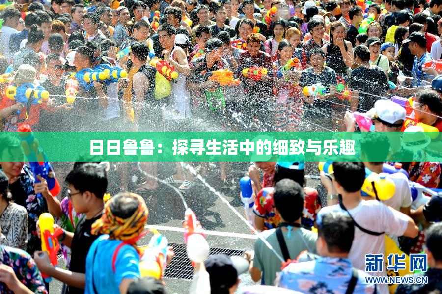 日日鲁鲁：探寻生活中的细致与乐趣