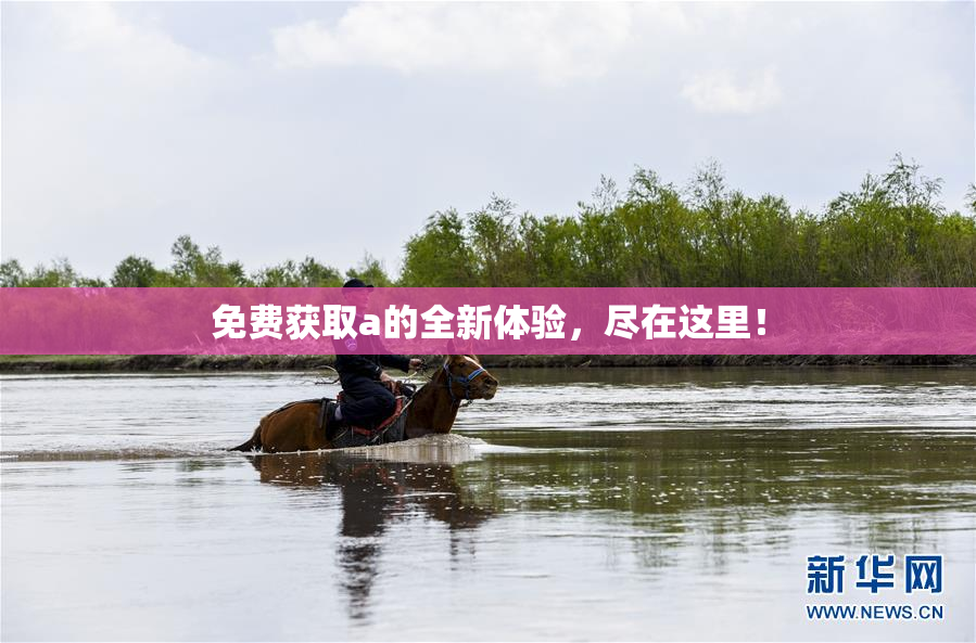 免费获取a的全新体验，尽在这里！