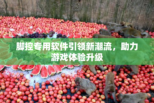 脚控专用软件引领新潮流，助力游戏体验升级