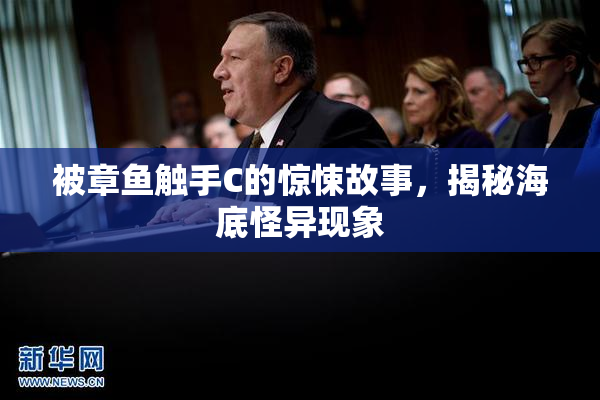 被章鱼触手C的惊悚故事，揭秘海底怪异现象