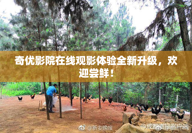 奇优影院在线观影体验全新升级，欢迎尝鲜！