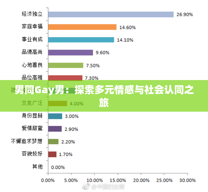 男同Gay男：探索多元情感与社会认同之旅