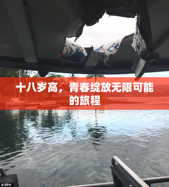 十八岁高，青春绽放无限可能的旅程