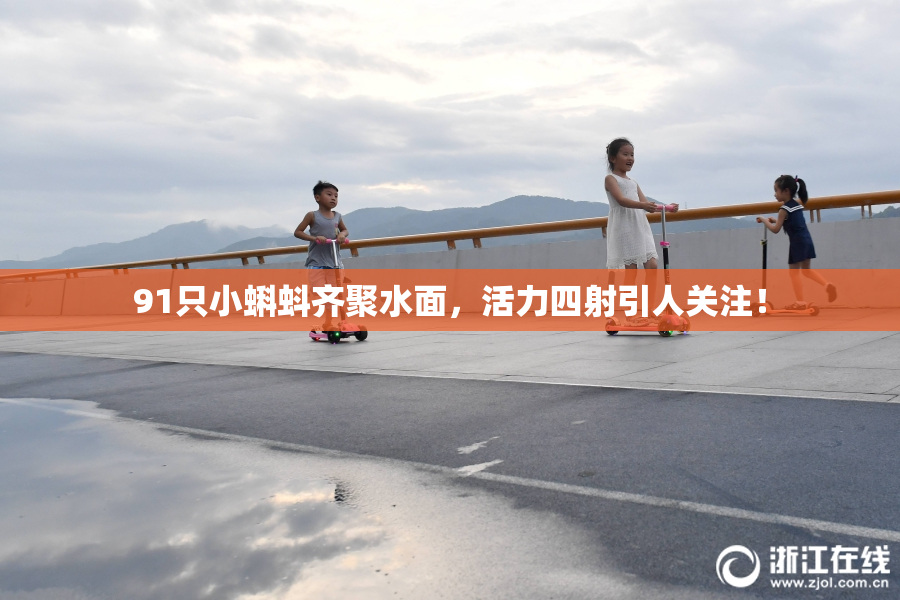 91只小蝌蚪齐聚水面，活力四射引人关注！