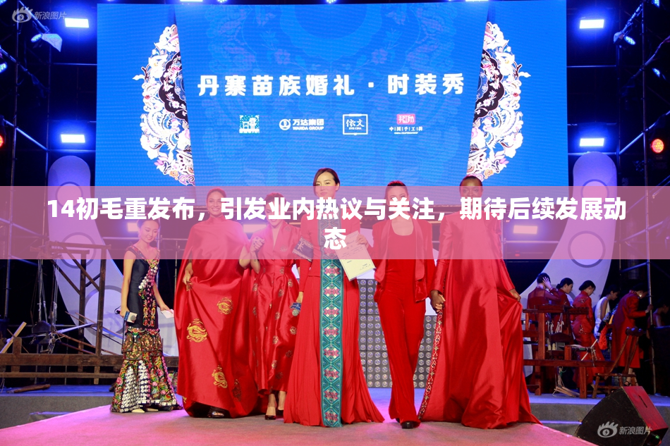 14初毛重发布，引发业内热议与关注，期待后续发展动态