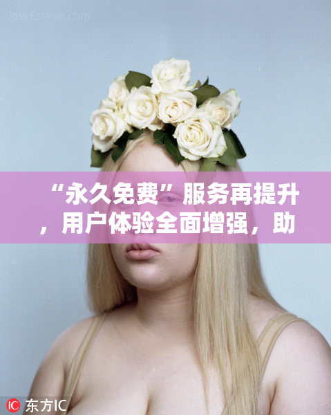 “永久免费”服务再提升，用户体验全面增强，助力长期使用