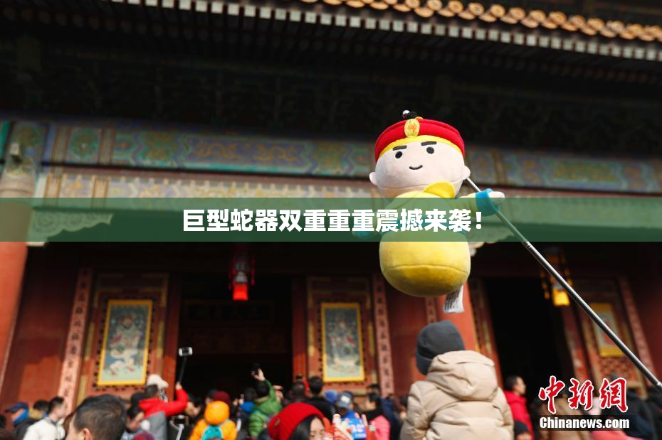 巨型蛇器双重重重震撼来袭！
