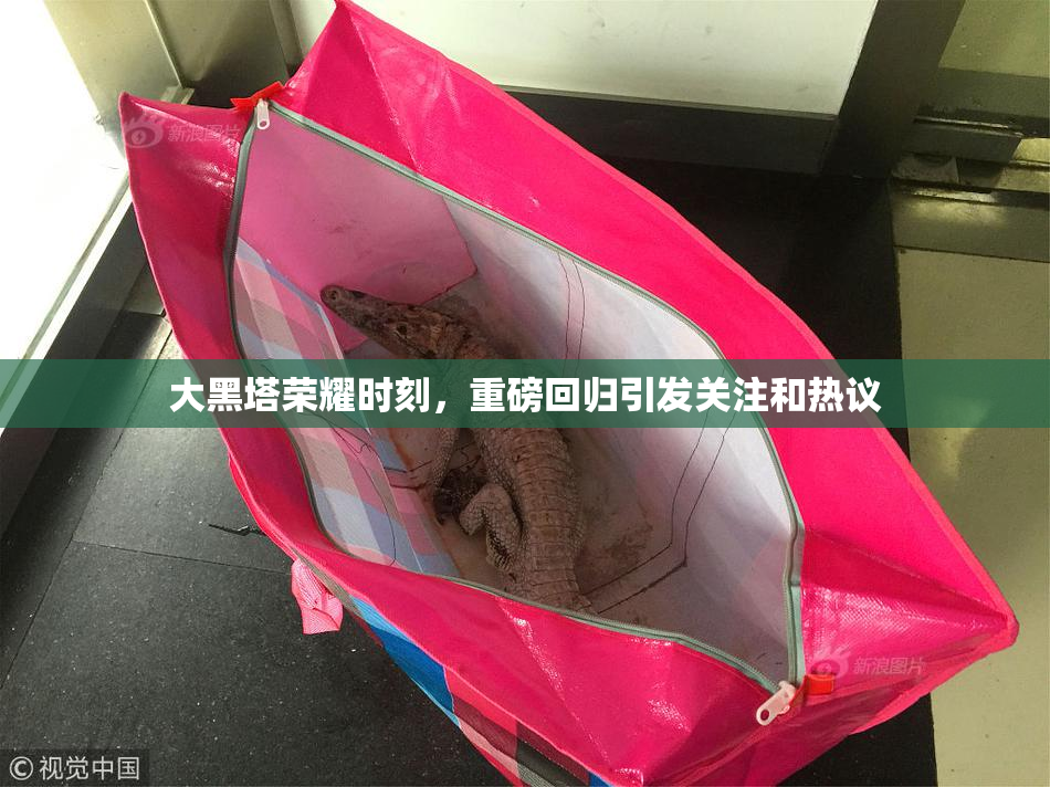 大黑塔荣耀时刻，重磅回归引发关注和热议
