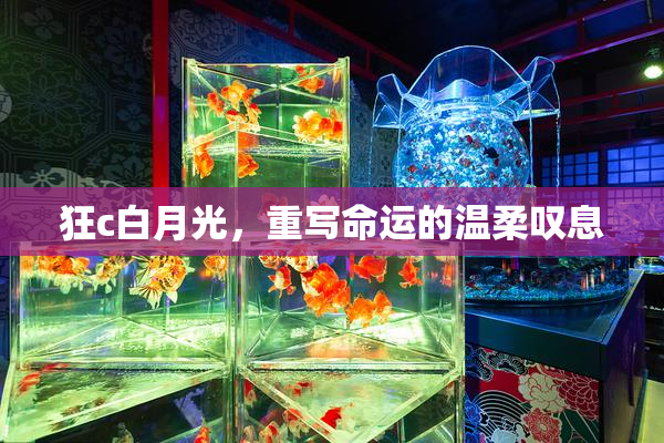 狂c白月光，重写命运的温柔叹息