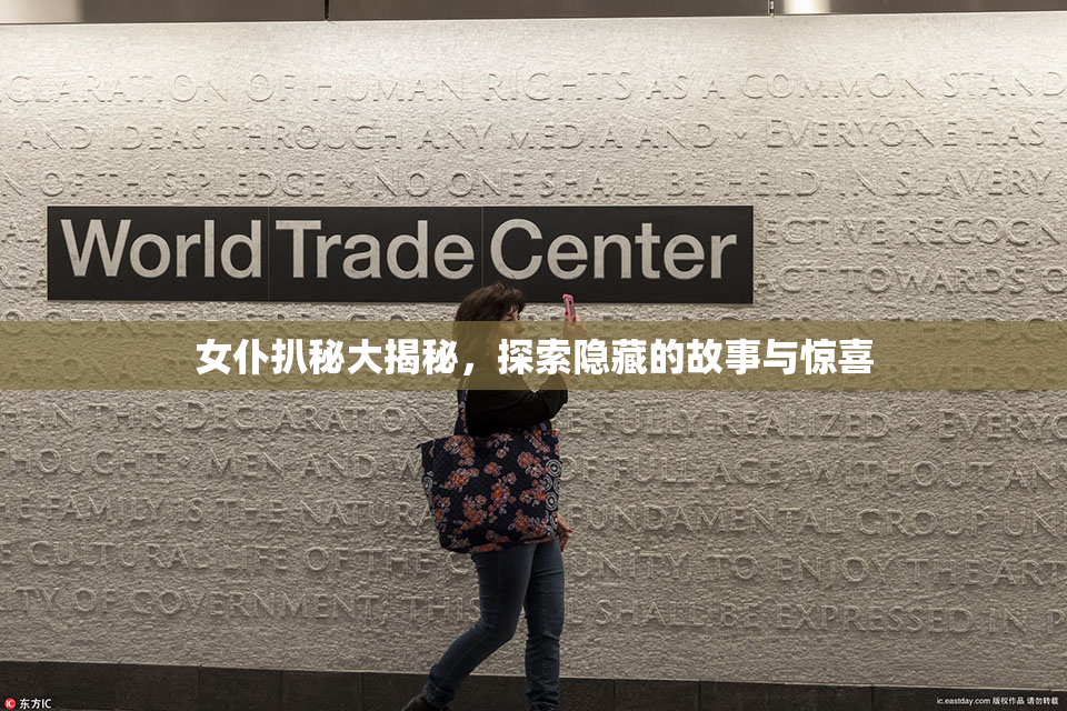 女仆扒秘大揭秘，探索隐藏的故事与惊喜