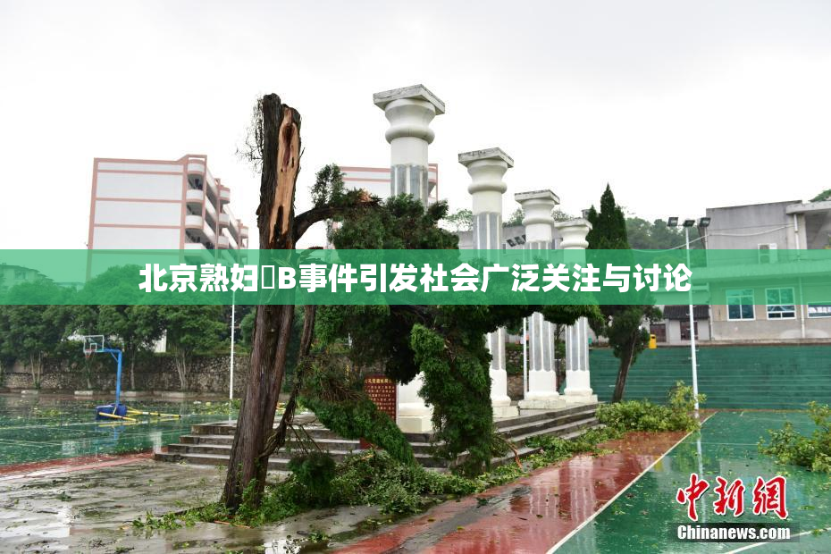 北京熟妇槡B事件引发社会广泛关注与讨论