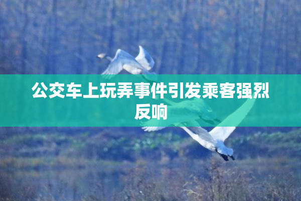 公交车上玩弄事件引发乘客强烈反响