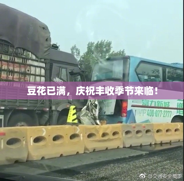 豆花已满，庆祝丰收季节来临！