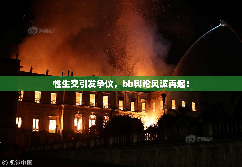 性生交引发争议，bb舆论风波再起！