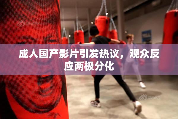 成人国产影片引发热议，观众反应两极分化