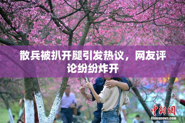 散兵被扒开腿引发热议，网友评论纷纷炸开