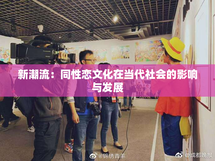 新潮流：同性恋文化在当代社会的影响与发展