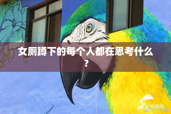 女厕蹲下的每个人都在思考什么？