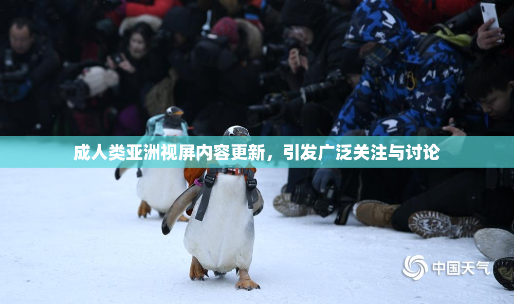 成人类亚洲视屏内容更新，引发广泛关注与讨论