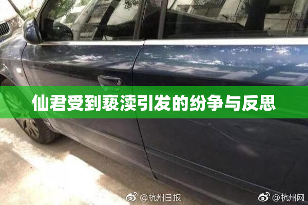 仙君受到亵渎引发的纷争与反思