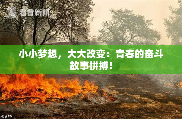 小小梦想，大大改变：青春的奋斗故事拼搏！