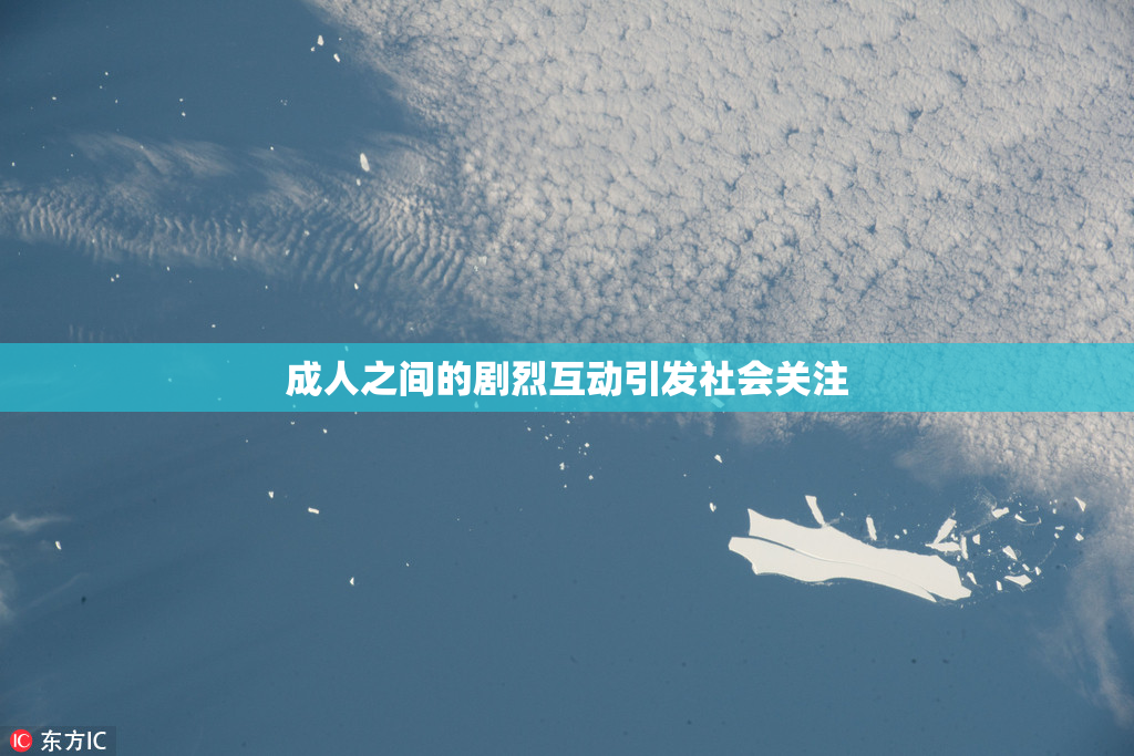 成人之间的剧烈互动引发社会关注