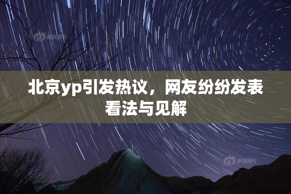 北京yp引发热议，网友纷纷发表看法与见解