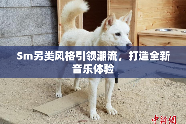 Sm另类风格引领潮流，打造全新音乐体验