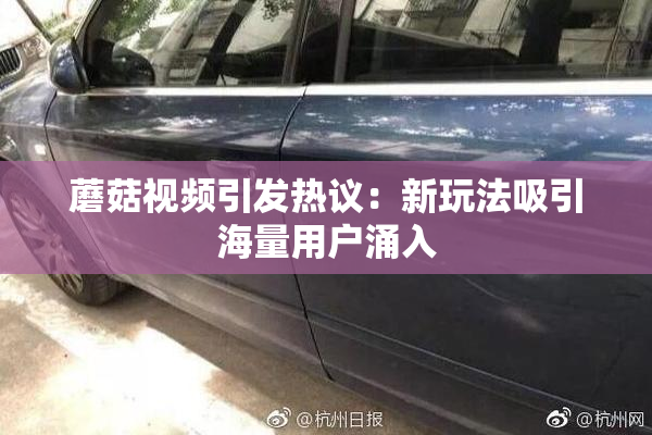 蘑菇视频引发热议：新玩法吸引海量用户涌入