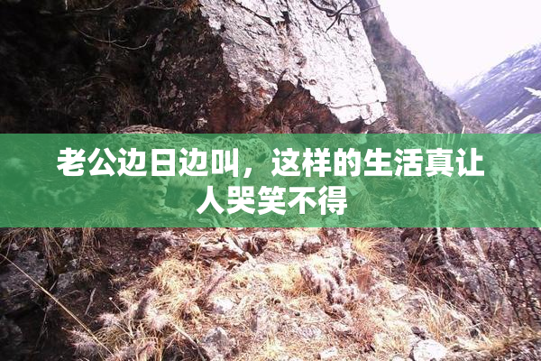 老公边日边叫，这样的生活真让人哭笑不得