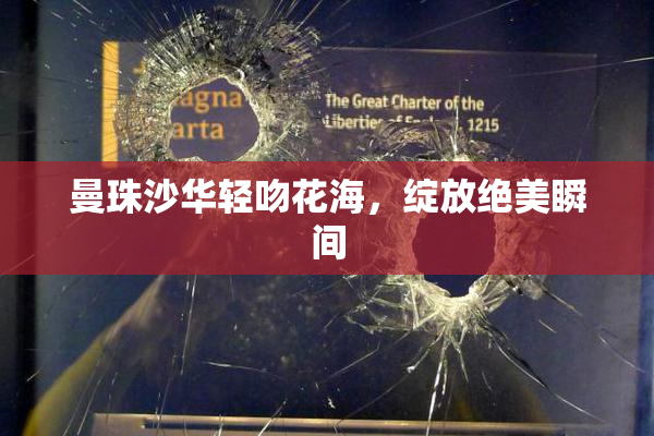 曼珠沙华轻吻花海，绽放绝美瞬间