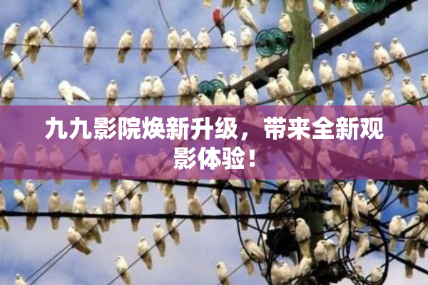 九九影院焕新升级，带来全新观影体验！