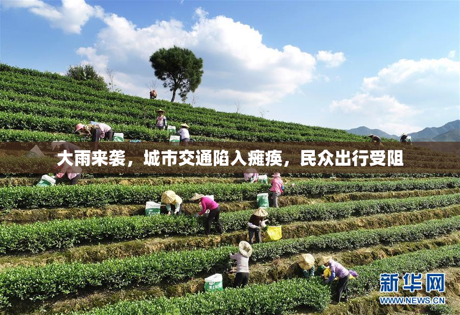 大雨来袭，城市交通陷入瘫痪，民众出行受阻