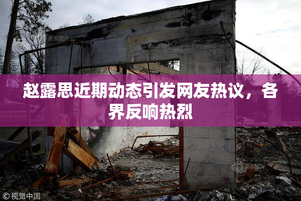赵露思近期动态引发网友热议，各界反响热烈