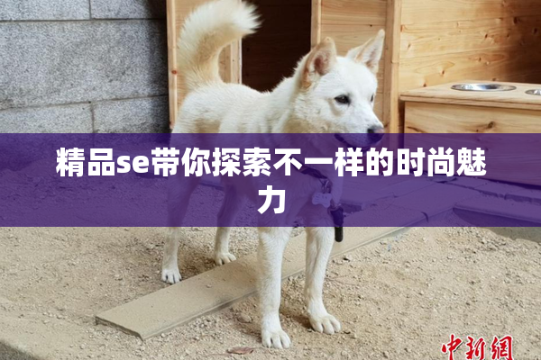 精品se带你探索不一样的时尚魅力