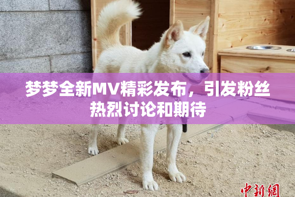 梦梦全新MV精彩发布，引发粉丝热烈讨论和期待
