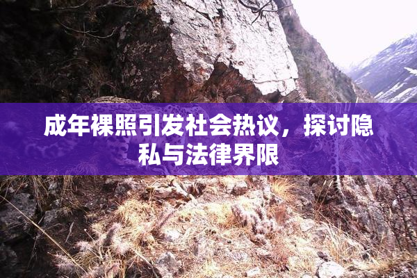 成年裸照引发社会热议，探讨隐私与法律界限