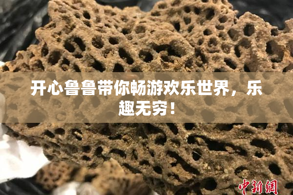 开心鲁鲁带你畅游欢乐世界，乐趣无穷！