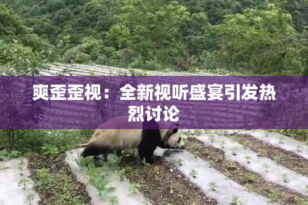 爽歪歪视：全新视听盛宴引发热烈讨论