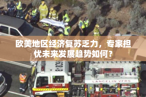 欧美地区经济复苏乏力，专家担忧未来发展趋势如何？