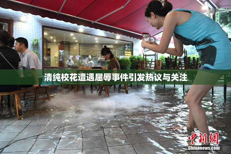 清纯校花遭遇屈辱事件引发热议与关注