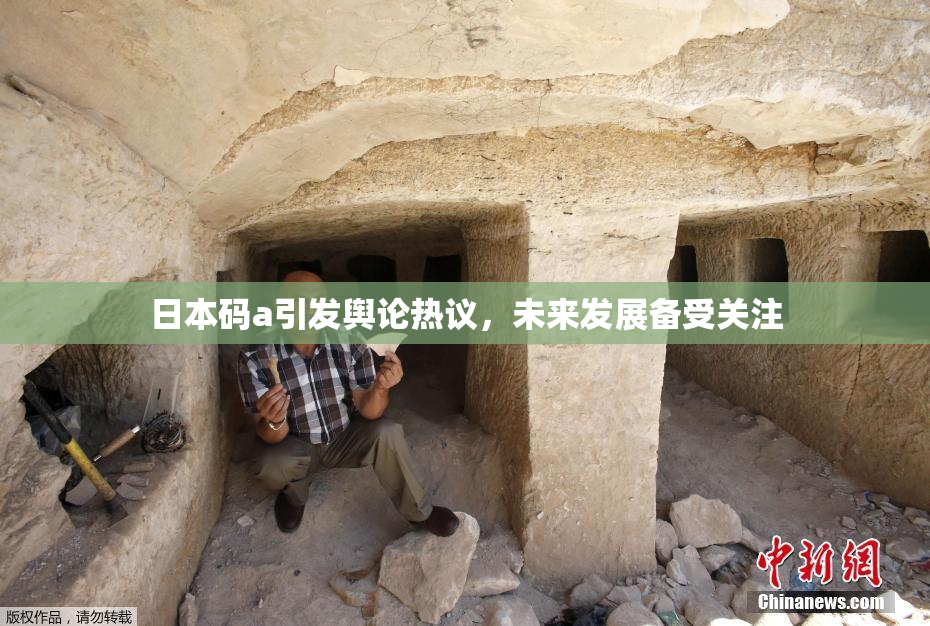 日本码a引发舆论热议，未来发展备受关注
