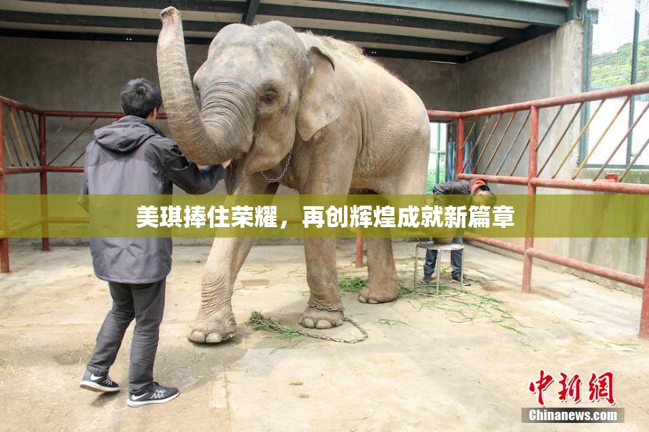 美琪捧住荣耀，再创辉煌成就新篇章