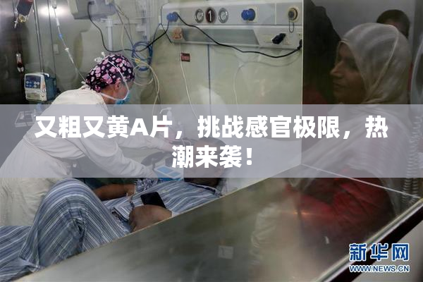又粗又黄A片，挑战感官极限，热潮来袭！
