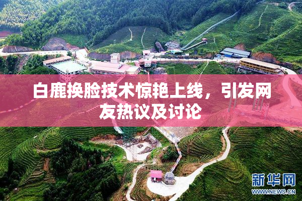 白鹿换脸技术惊艳上线，引发网友热议及讨论