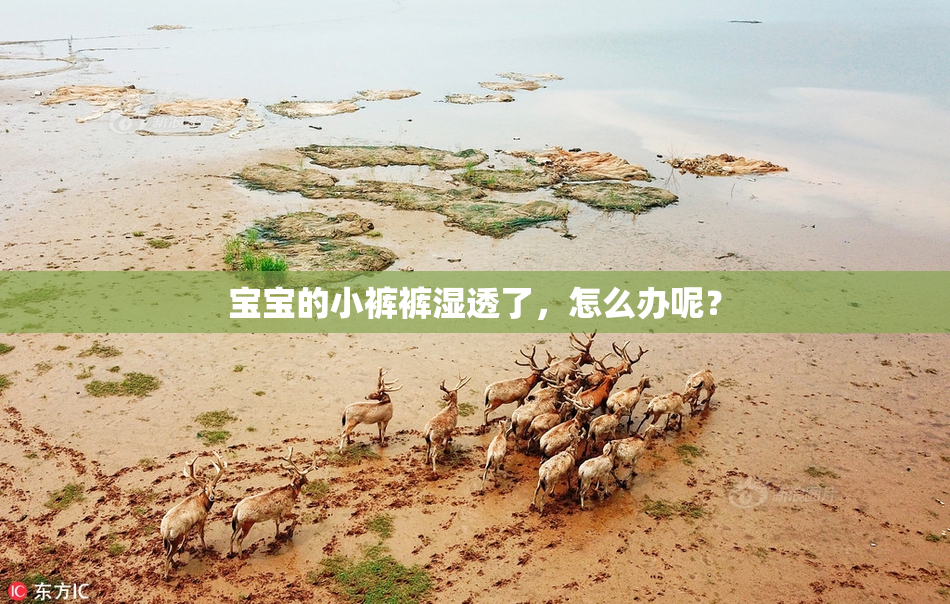 宝宝的小裤裤湿透了，怎么办呢？