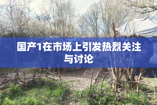 国产1在市场上引发热烈关注与讨论
