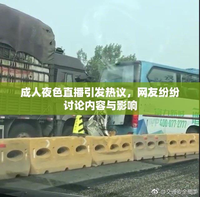 成人夜色直播引发热议，网友纷纷讨论内容与影响