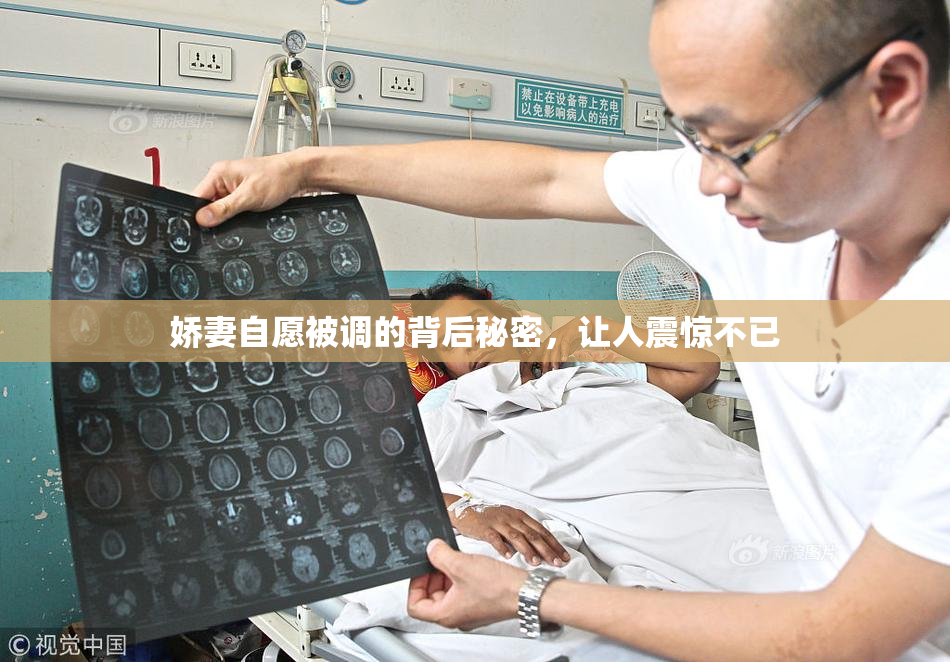 娇妻自愿被调的背后秘密，让人震惊不已